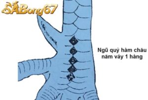 Vảy Gà Ngũ Quỷ