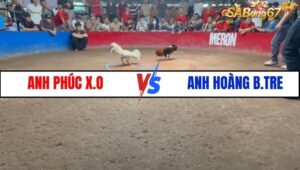 ANH PHÚC X.O VS ANH HOÀNG BẾN TRE
