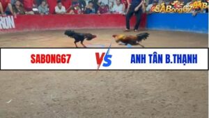TRẬN 1 BỒ HOA LƯ 9/1/2025