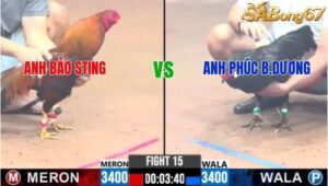 TRẬN 15 CPC3 12/1/2025 : ANH BẢO STING VS CHÚ PHÚC BÌNH DƯƠNG