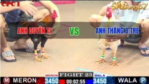 TRẬN 23 CPC1 08/02/2025 : ANH DUYÊN TI VS ANH THẮNG BẾN TRE