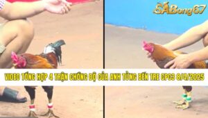 4 trận chồng độ của anh Tửng Bến Tre