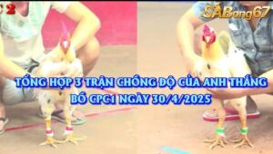 CHỒNG ĐỘ BỒ CPC1 30/4/2025