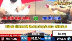 TRẬN 6 CPC3 1/4/2025