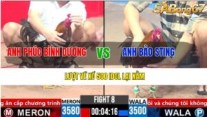 TRẬN 8 CPC3 1/4/2025