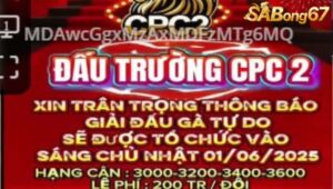 GIẢI ĐÁ GÀ TỰ DO BỒ C2 NGÀY 1/6/2025