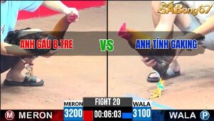 TRẬN 20 CPC3 25/05/2025 : ANH GẤU BẾN TRE vs ANH TÍNH GAKING