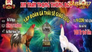 Việt Nam vs Thái Lan Tại Bồ Gà C3