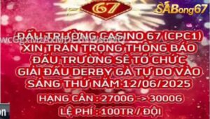 GIẢI DERBY GÀ TỰ DO BỒ C1 NGÀY 12/6/2025