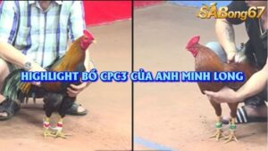 3 TRẬN THẮNG NHẬN 1000$ CPC3 29/7/2025