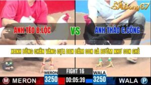 TRẬN 16 CPC3 6/7/2025