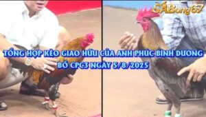 TỔNG HỢP KÈO GIAO HỮU CỦA ANH PHÚC BÌNH DƯƠNG