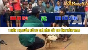 TRẬN 10 BỒ TONHON 27/8/2025