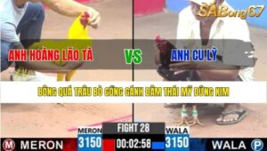 TRẬN 28 CPC3 6/8/2025