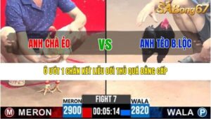 TRẬN 7 CPC3 1/8/2025