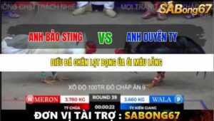 TRẬN 39 BỒ TONHON 12/9/2025