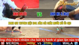 TRẬN 13 CPC5 25/9/2025