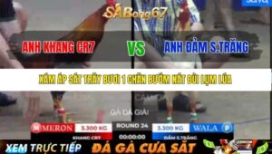 TRẬN 24 BỒ TONHON 12/9/2025