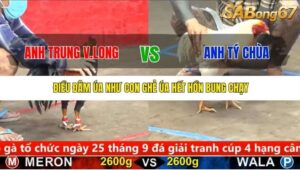 TRẬN 25 CPC5 20/9/2025