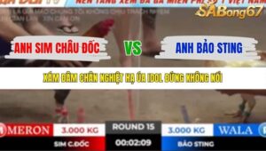 TRẬN 15 TONHON 18/10/2025