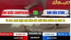 TRẬN 20 TONHON 18/10/2025