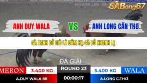 TRẬN 23 TONHON 18/10/2025