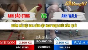 TRẬN 29 TONHON 18/10/2025