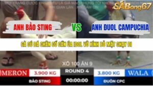 TRẬN 4 TONHON 18/10/2025