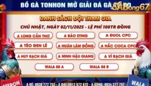 GIẢI ĐÁ GÀ TỰ DO BỒ TONHON NGÀY 2/11/2025