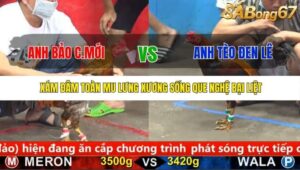 TRẬN 15 CPC5 3/10/2025