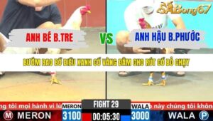 TRẬN 29 CPC6 28/10/2025