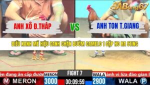 TRẬN 7 CPC6 28/10/2025