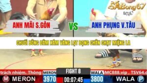 TRẬN 8 CPC6 30/10/2025