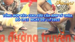 TỔNG HỢP KÈO GIAO LƯU CỦA ANH TÝ CHÙA