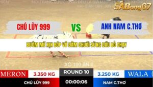 TRẬN 10 TONHON NGÀY 14/11/2025