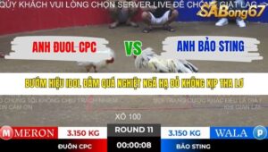 TRẬN 11 TONHON 28/11/2025