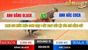 TRẬN 11 TONHON NGÀY 14/11/2025