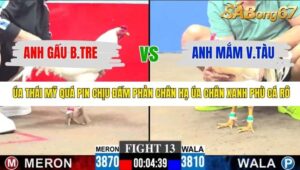 TRẬN 13 CPC3 30/11/2025