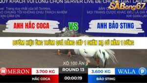 TRẬN 13 TONHON 2/11/2025