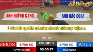 TRẬN 19 TONHON 28/11/2025