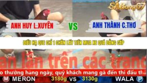 TRẬN 20 CPC5 NGÀY 13/11/2025