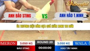 TRẬN 20 TONHON NGÀY 14/11/2025