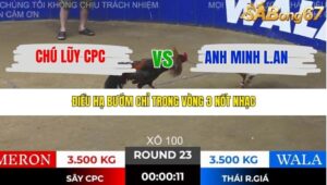 TRẬN 23 TONHON 28/11/2025