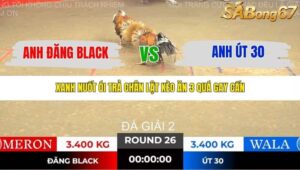 TRẬN 26 TONHON NGÀY 14/11/2025