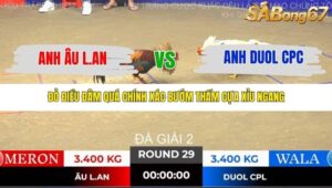 TRẬN 29 TONHON NGÀY 14/11/2025