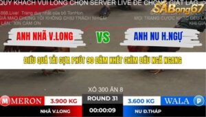 TRẬN 31 TONHON 2/11/2025