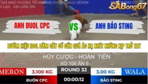 TRẬN 32 TONHON 28/11/2025