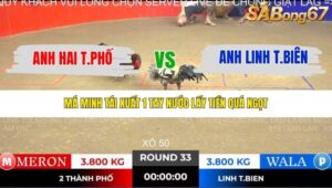 TRẬN 33 TONHON NGÀY 14/11/2025