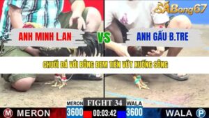 TRẬN 34 CPC3 30/11/2025