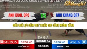 TRẬN 34 TONHON 2/11/2025